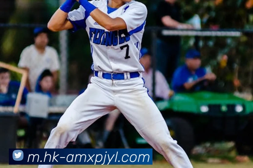 澳门新葡京娱乐平台生态图