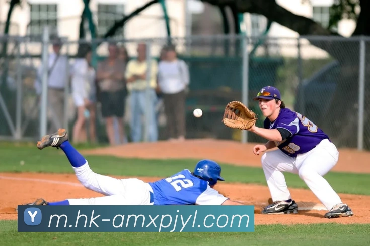 澳门新葡京娱乐APP 封面图